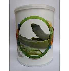 Salonshop - ceara la conserva - aloe vera - 800 gr