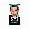 Light Medium Brow - H-30 - Vopsea de par pentru Barbati - Just For Men