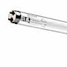 Neon pentru sterilizator - G8WT5